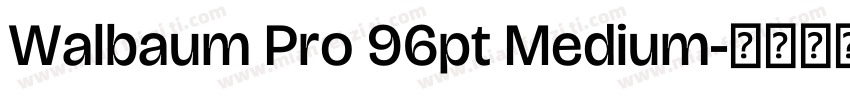 Walbaum Pro 96pt Medium字体转换